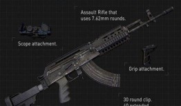 和平精英新枪爆料最新,神秘性能引发热议，玩家期待度飙升！